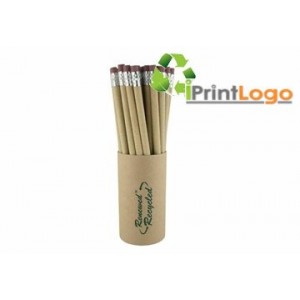 ECO FRIENDLY PENCIL-IGT-RP4199